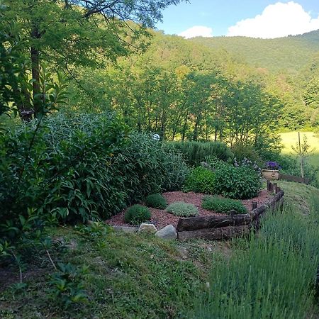Locanda Di Alberi Borgo San Lorenzo Kültér fotó