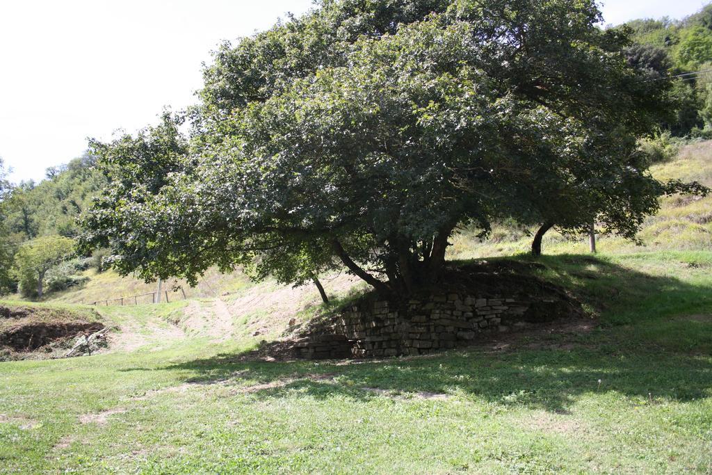 Locanda Di Alberi Borgo San Lorenzo Kültér fotó