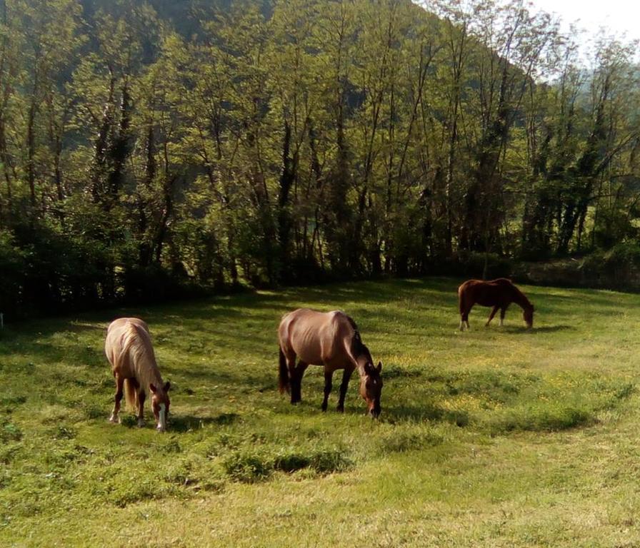 Locanda Di Alberi Borgo San Lorenzo Kültér fotó